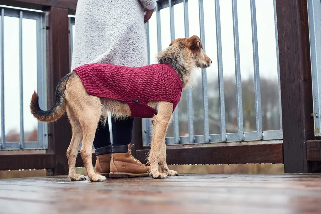 Sale Malmø pullover strik bordeaux str. 35 Hundetøj Til Hvalpe - Varme Dækkener Og Sko Til Trygge Gåture|Hundetøj Til Alle Hunde Med Varme Dækkener Og Sko