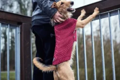 Sale Malmø pullover strik bordeaux str. 35 Hundetøj Til Hvalpe - Varme Dækkener Og Sko Til Trygge Gåture|Hundetøj Til Alle Hunde Med Varme Dækkener Og Sko