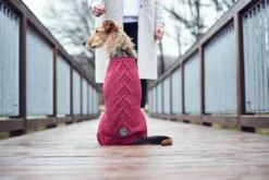 Online Malmø pullover strik bordeaux str. 40 Hundetøj Til Hvalpe - Varme Dækkener Og Sko Til Trygge Gåture|Hundetøj Til Alle Hunde Med Varme Dækkener Og Sko