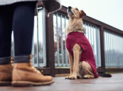 Discount Malmø pullover strik bordeaux str. 45 Hundetøj Til Hvalpe - Varme Dækkener Og Sko Til Trygge Gåture|Hundetøj Til Alle Hunde Med Varme Dækkener Og Sko