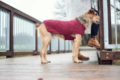 Discount Malmø pullover strik bordeaux str. 45 Hundetøj Til Hvalpe - Varme Dækkener Og Sko Til Trygge Gåture|Hundetøj Til Alle Hunde Med Varme Dækkener Og Sko