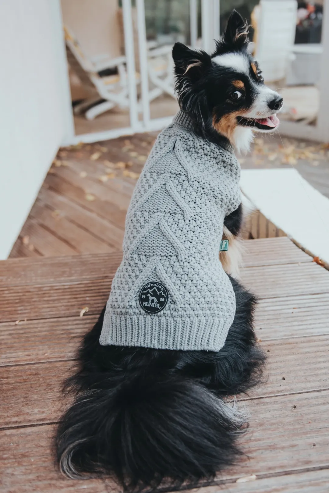 Sale Malmø pullover strik grå str. 30 Hundetøj Til Hvalpe - Varme Dækkener Og Sko Til Trygge Gåture|Hundetøj Til Alle Hunde Med Varme Dækkener Og Sko