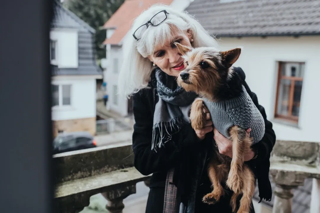 Sale Malmø pullover strik grå str. 30 Hundetøj Til Hvalpe - Varme Dækkener Og Sko Til Trygge Gåture|Hundetøj Til Alle Hunde Med Varme Dækkener Og Sko