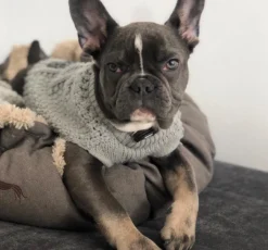 Discount Malmø pullover strik grå str. 45 Hundetøj Til Hvalpe - Varme Dækkener Og Sko Til Trygge Gåture|Hundetøj Til Alle Hunde Med Varme Dækkener Og Sko