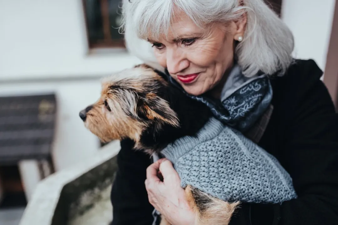 Malmø pullover strik grå str. 50 Hundetøj Til Hvalpe - Varme Dækkener Og Sko Til Trygge Gåture|Hundetøj Til Alle Hunde Med Varme Dækkener Og Sko