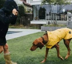 Milford Regnfrakke Gul 30 cm Hundetøj Til Hvalpe - Varme Dækkener Og Sko Til Trygge Gåture|Hundetøj Til Alle Hunde Med Varme Dækkener Og Sko