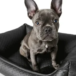 Sale Mira hundepude L 90x70 cm Sort Hundesenge Og Kurve Til Hunde - Bløde Og Komfortable|Sovepladser Til Hvalpe - Hundesenge, Kølemåtter Og Trygge Hvilesteder