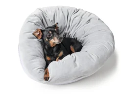 Hot Miranda donut seng Ø 50 cm Lysegrå Killingesenge Og Afslapningspladser - Trygge Hvilepladser Til Små Katte|Hundesenge Og Kurve Til Hunde - Bløde Og Komfortable