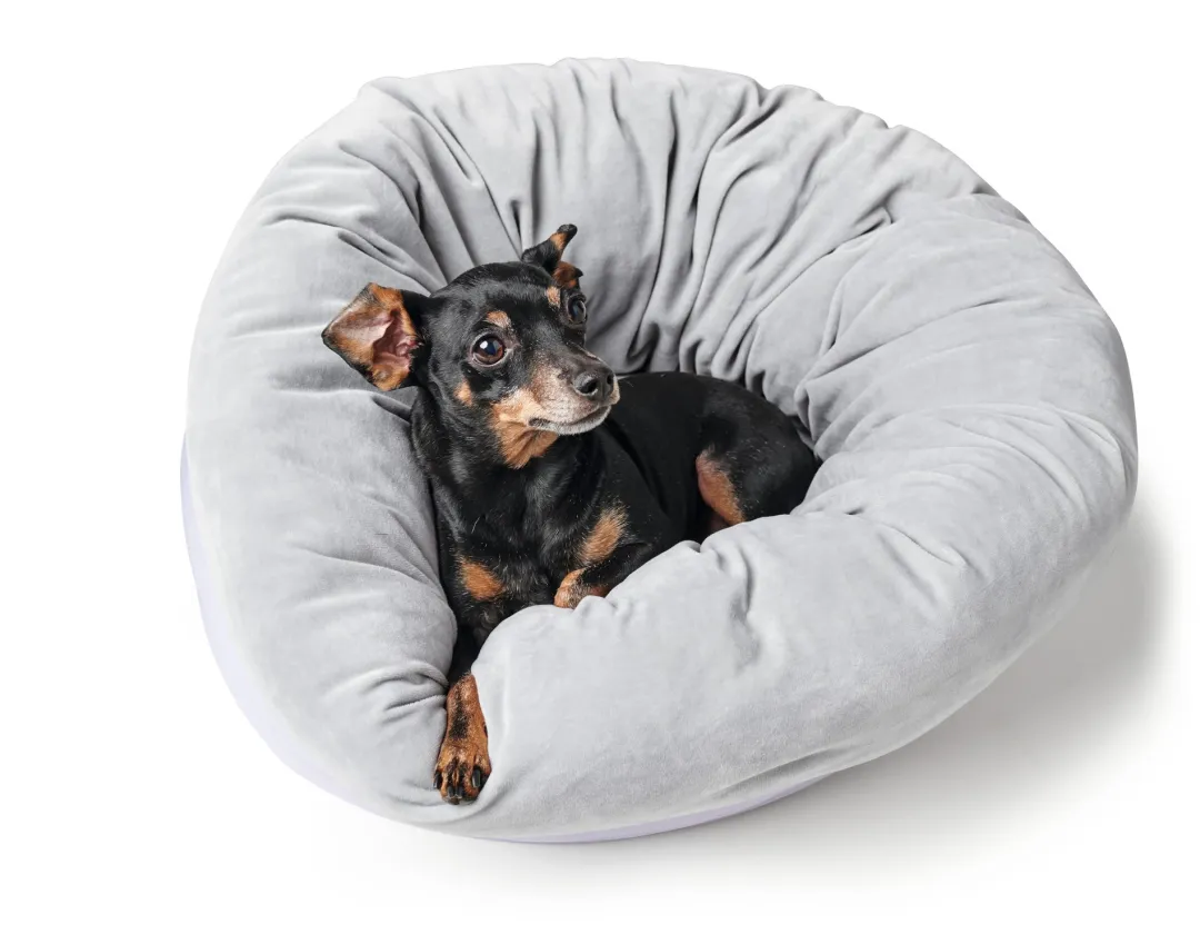 Hot Miranda donut seng Ø 50 cm Lysegrå Killingesenge Og Afslapningspladser - Trygge Hvilepladser Til Små Katte|Hundesenge Og Kurve Til Hunde - Bløde Og Komfortable