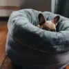 Sale Miranda donut seng M Ø 50 cm Mørkegrå Killingesenge Og Afslapningspladser - Trygge Hvilepladser Til Små Katte|Hundesenge Og Kurve Til Hunde - Bløde Og Komfortable