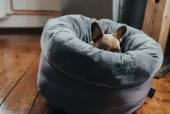 Sale Miranda donut seng M Ø 50 cm Mørkegrå Killingesenge Og Afslapningspladser - Trygge Hvilepladser Til Små Katte|Hundesenge Og Kurve Til Hunde - Bløde Og Komfortable