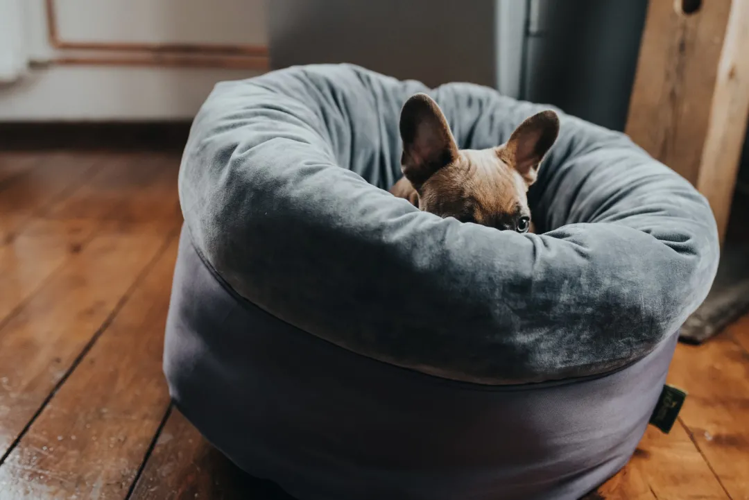 Sale Miranda donut seng M Ø 50 cm Mørkegrå Killingesenge Og Afslapningspladser - Trygge Hvilepladser Til Små Katte|Hundesenge Og Kurve Til Hunde - Bløde Og Komfortable