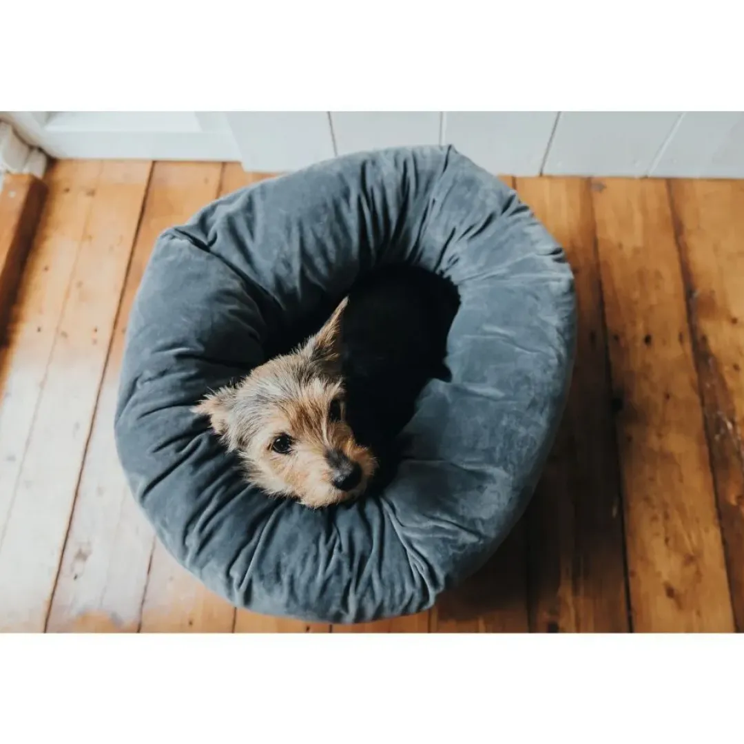 Sale Miranda donut seng M Ø 50 cm Mørkegrå Killingesenge Og Afslapningspladser - Trygge Hvilepladser Til Små Katte|Hundesenge Og Kurve Til Hunde - Bløde Og Komfortable