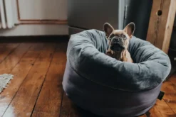 Sale Miranda donut seng M Ø 50 cm Mørkegrå Killingesenge Og Afslapningspladser - Trygge Hvilepladser Til Små Katte|Hundesenge Og Kurve Til Hunde - Bløde Og Komfortable