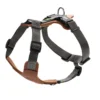 Sale Mixed Aalborg læder hundesele XS-S cognac/grå hals 40-50 cm - blød og sikker pasform Hvalpeseler - Bløde Justerbare Seler Der Giver Din Hvalp Tryghed Og Støtte På Turen|Hundeseler Til Alle Behov Og Hundestørrelser