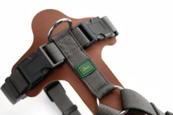 Sale Mixed Aalborg læder hundesele XS-S cognac/grå hals 40-50 cm - blød og sikker pasform Hvalpeseler - Bløde Justerbare Seler Der Giver Din Hvalp Tryghed Og Støtte På Turen|Hundeseler Til Alle Behov Og Hundestørrelser