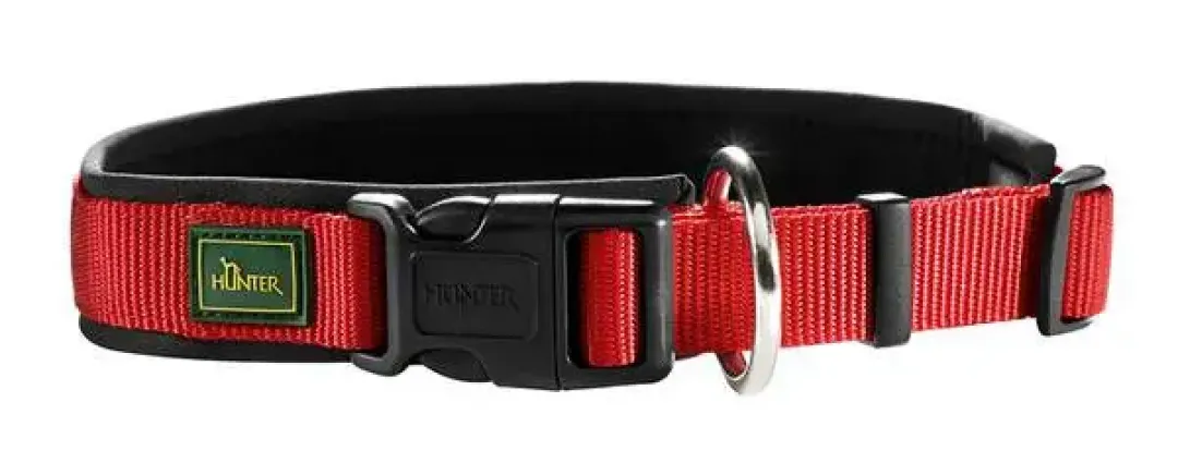 Clearance Neopren hundehalsbånd rød 55 cm - 50-55 cm indstilling Hvalpehalsbånd - Bløde Og Sikre Halsbånd Med Perfekt Pasform Til Din Hvalp|Hundehalsbånd Med Stil - Komfort Og Sikkerhed Til Din Hund
