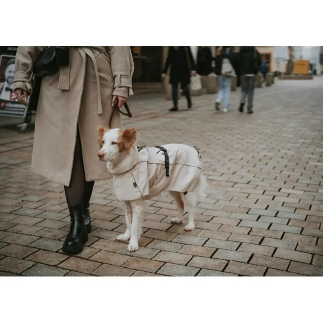 Online Nordby hundefrakke str 32,5 creme Hundetøj Til Alle Hunde Med Varme Dækkener Og Sko