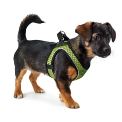 Best NY Hilo Comfort hundesele XXS-XS lime mave/bryst 33-36 cm - Fleksibel let pasform til små hunde Hvalpeseler - Bløde Justerbare Seler Der Giver Din Hvalp Tryghed Og Støtte På Turen|Hundeseler Til Alle Behov Og Hundestørrelser