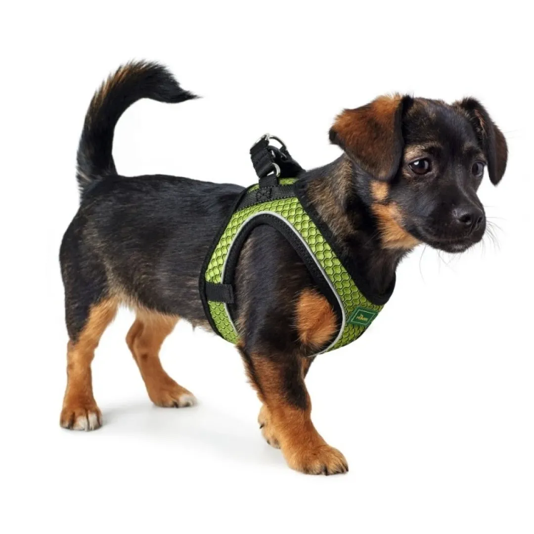 Outlet NY Hilo Comfort hundesele S-M lime mave/bryst 52-58 cm - Fleksibel støtte og komfort Hvalpeseler - Bløde Justerbare Seler Der Giver Din Hvalp Tryghed Og Støtte På Turen|Hundeseler Til Alle Behov Og Hundestørrelser