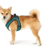 Best NY Hilo Comfort hundesele XS-S turkis mave/bryst 40-46 cm - Fleksibel komfort til små hunde Hvalpeseler - Bløde Justerbare Seler Der Giver Din Hvalp Tryghed Og Støtte På Turen|Hundeseler Til Alle Behov Og Hundestørrelser