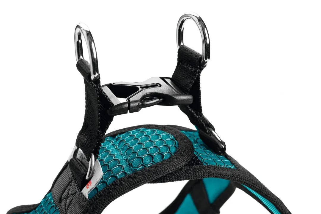 Best NY Hilo Comfort hundesele XS-S turkis mave/bryst 40-46 cm - Fleksibel komfort til små hunde Hvalpeseler - Bløde Justerbare Seler Der Giver Din Hvalp Tryghed Og Støtte På Turen|Hundeseler Til Alle Behov Og Hundestørrelser