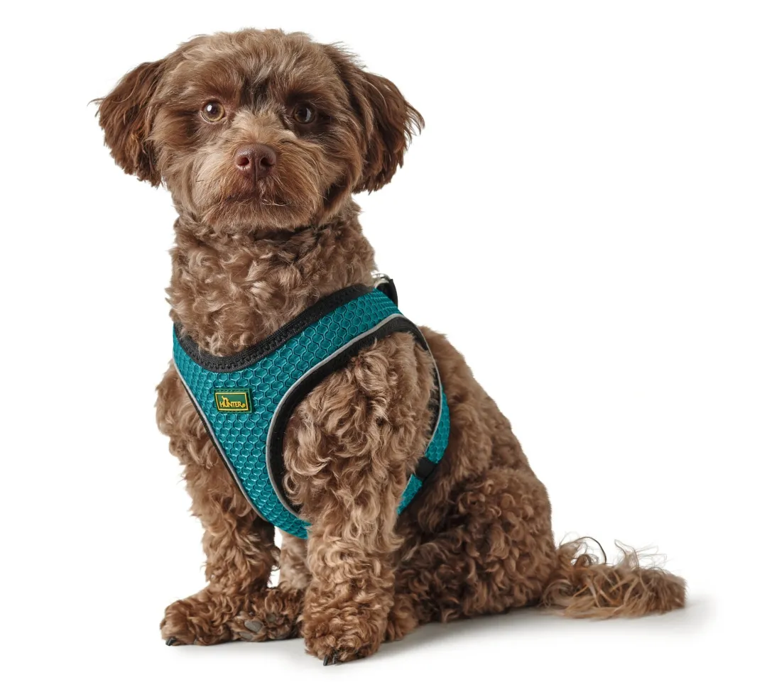 Online NY Hilo Comfort hundesele S-M turkis mave/bryst 52-58 cm - Fleksibel komfort og støtte Hvalpeseler - Bløde Justerbare Seler Der Giver Din Hvalp Tryghed Og Støtte På Turen|Hundeseler Til Alle Behov Og Hundestørrelser
