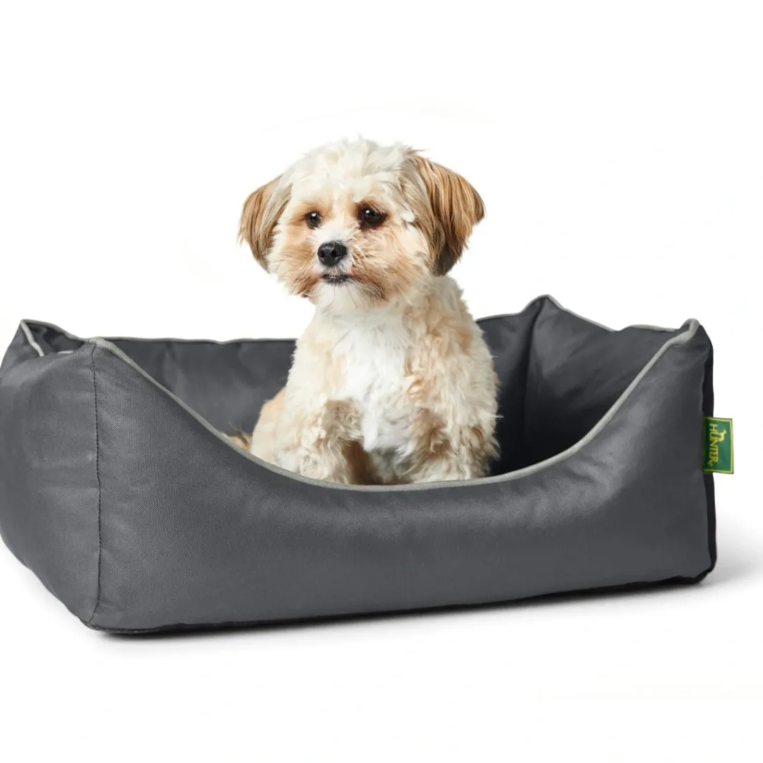 Sale Ortho Cleveland hundeseng L 100x70 cm Grå Hundesenge Og Kurve Til Hunde - Bløde Og Komfortable|Sovepladser Til Hvalpe - Hundesenge, Kølemåtter Og Trygge Hvilesteder