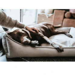 Best Ortho Merida hundeseng XL 120x80 cm Taupe Hundesenge Og Kurve Til Hunde - Bløde Og Komfortable|Sovepladser Til Hvalpe - Hundesenge, Kølemåtter Og Trygge Hvilesteder