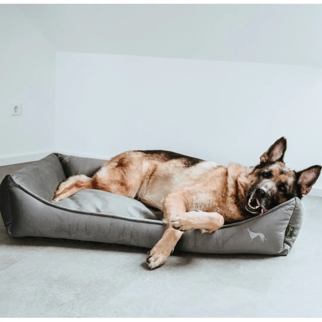 Ortho Merida hundeseng XL 120x80 cm Antracit Hundesenge Og Kurve Til Hunde - Bløde Og Komfortable|Sovepladser Til Hvalpe - Hundesenge, Kølemåtter Og Trygge Hvilesteder
