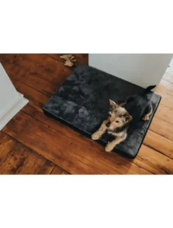 New ortopædisk hundemadras Tirano XL 120x70x8 cm i sort og grå Hundesenge Og Kurve Til Hunde - Bløde Og Komfortable|Sovepladser Til Hvalpe - Hundesenge, Kølemåtter Og Trygge Hvilesteder