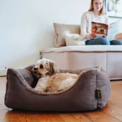 Online ortopædisk hundeseng Rockford Large 100 x 70 cm Brun Hundesenge Og Kurve Til Hunde - Bløde Og Komfortable|Sovepladser Til Hvalpe - Hundesenge, Kølemåtter Og Trygge Hvilesteder