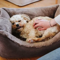 ortopædisk hundeseng Rockford XL 120 x 90 cm Brun Hundesenge Og Kurve Til Hunde - Bløde Og Komfortable|Sovepladser Til Hvalpe - Hundesenge, Kølemåtter Og Trygge Hvilesteder