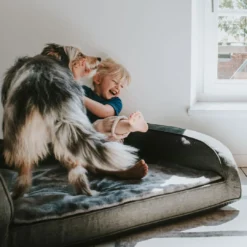 Outlet ortopædisk hundesofa Livingston Medium 80 x 60 cm Antracit Hundesenge Og Kurve Til Hunde - Bløde Og Komfortable|Sovepladser Til Hvalpe - Hundesenge, Kølemåtter Og Trygge Hvilesteder