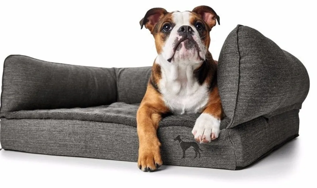 Outlet ortopædisk hundesofa Livingston Medium 80 x 60 cm Antracit Hundesenge Og Kurve Til Hunde - Bløde Og Komfortable|Sovepladser Til Hvalpe - Hundesenge, Kølemåtter Og Trygge Hvilesteder