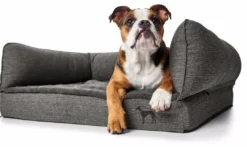 ortopædisk hundesofa Livingston Large 100 x 80 cm Antracit Hundesenge Og Kurve Til Hunde - Bløde Og Komfortable|Sovepladser Til Hvalpe - Hundesenge, Kølemåtter Og Trygge Hvilesteder