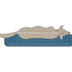 ortopædisk hundesofa Livingston Large 100 x 80 cm Antracit Hundesenge Og Kurve Til Hunde - Bløde Og Komfortable|Sovepladser Til Hvalpe - Hundesenge, Kølemåtter Og Trygge Hvilesteder