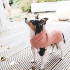 Röglatrøje 35 Rosa Hundetøj Til Hvalpe - Varme Dækkener Og Sko Til Trygge Gåture|Hundetøj Til Alle Hunde Med Varme Dækkener Og Sko