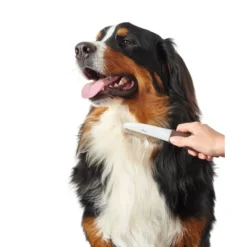 Sale Roterende Kam Mellem/stor Plejemidler Til Hund Med Fokus På Sundhed Og Velvære|Pleje Af Hvalpe - Alt I Plejemidler Til Pels, Poter Og Hud