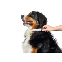 Sale Roterende Kam Mellem/stor Plejemidler Til Hund Med Fokus På Sundhed Og Velvære|Pleje Af Hvalpe - Alt I Plejemidler Til Pels, Poter Og Hud
