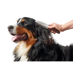 Sale Roterende Kam Mellem/stor Plejemidler Til Hund Med Fokus På Sundhed Og Velvære|Pleje Af Hvalpe - Alt I Plejemidler Til Pels, Poter Og Hud
