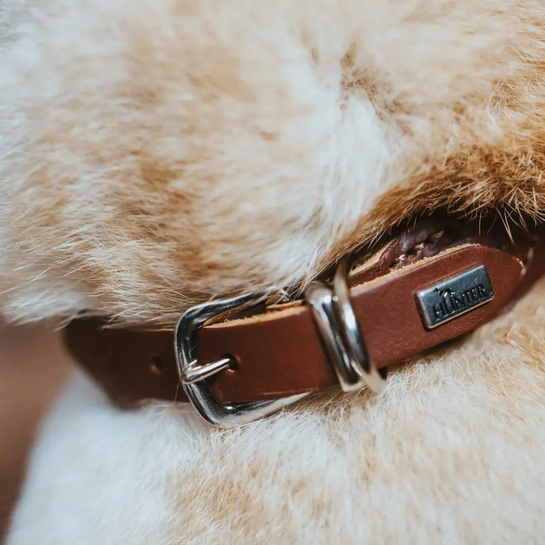 Outlet rundsyet okselæder halsbånd brun 40 - justering 33-37 cm - skånsom komfort til mellemstore hunde Hvalpehalsbånd - Bløde Og Sikre Halsbånd Med Perfekt Pasform Til Din Hvalp|Hundehalsbånd Med Stil - Komfort Og Sikkerhed Til Din Hund