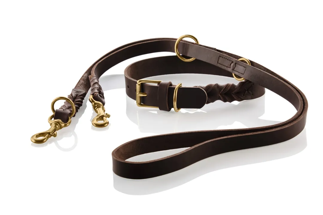 Sale Sansibar Solid 55 Hundehalsbånd i læder - 43-49 cm Hvalpehalsbånd - Bløde Og Sikre Halsbånd Med Perfekt Pasform Til Din Hvalp|Hundehalsbånd Med Stil - Komfort Og Sikkerhed Til Din Hund