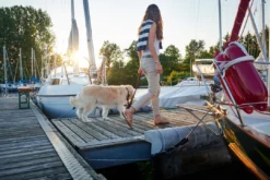 Sale Sansibar Solid 55 Hundehalsbånd i læder - 43-49 cm Hvalpehalsbånd - Bløde Og Sikre Halsbånd Med Perfekt Pasform Til Din Hvalp|Hundehalsbånd Med Stil - Komfort Og Sikkerhed Til Din Hund
