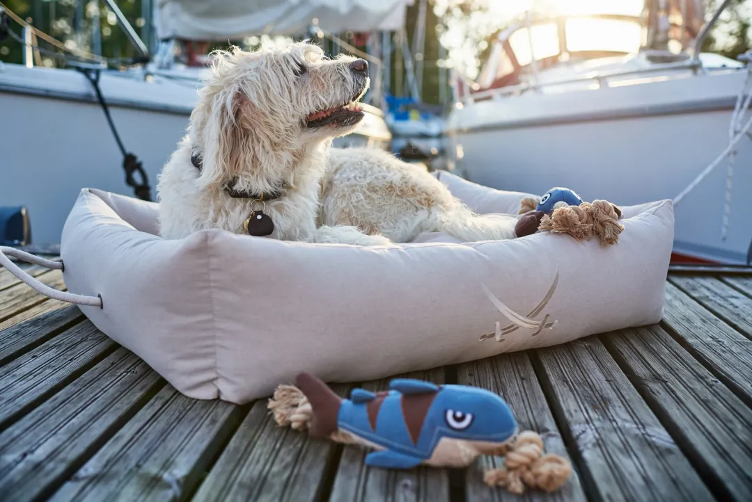 Sale Sansibar Solid 55 Hundehalsbånd i læder - 43-49 cm Hvalpehalsbånd - Bløde Og Sikre Halsbånd Med Perfekt Pasform Til Din Hvalp|Hundehalsbånd Med Stil - Komfort Og Sikkerhed Til Din Hund