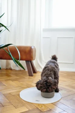 skål Osby 350 ml Taupe Mad- Og Vandskåle Til Katte|Hundeskåle Til Mad Og Drikke Der Passer Til Din Hunds Behov