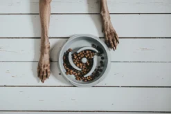 Slow Feeding 550 ml Grå Hundeskåle Til Mad Og Drikke Der Passer Til Din Hunds Behov|Hundeskåle Til Hvalpe - Praktisk, Sikker Og Nem Spisetid