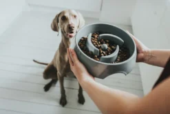 Outlet Slow Feeding 900 ml Grå Hundeskåle Til Mad Og Drikke Der Passer Til Din Hunds Behov|Hundeskåle Til Hvalpe - Praktisk, Sikker Og Nem Spisetid