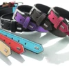 Outlet Softie hundehalsbånd sort 35 cm - 23-29 cm indstilling Hvalpehalsbånd - Bløde Og Sikre Halsbånd Med Perfekt Pasform Til Din Hvalp|Hundehalsbånd Med Stil - Komfort Og Sikkerhed Til Din Hund
