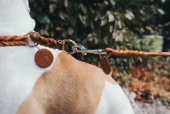 Solid Education Line 13/250 Cognac Hundesnor I Mange Varianter Og Materialer|Hundesnor Til Hvalpe